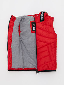 Kap??onlu Bask?l? Erkek ?ocuk ?i?me Yelek - Waikiki фото 3