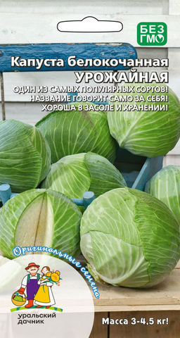 Капуста УРОЖАЙНАЯ  Название говорит само за себя! Хороша в засоле и короткого хранения! Одна из самых популярных сортов!