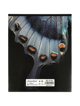 Комплект 12 тетрадей, 48 листов, клетка, 60гр, 4 вида, Природные расцветки