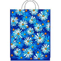 Пакет с петлевой ручкой 28х55 (55) Интерпак (Пробуждение) (х25/500) ПТЛ40587