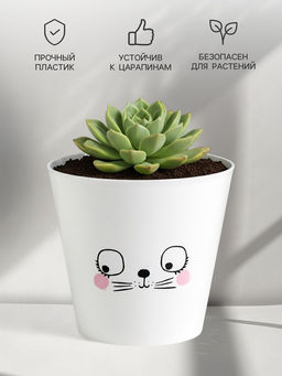 Цена за 2 шт. Кашпо для цветов «Мордочка», 800 мл, d=12 см, h=11 см, пластиковое