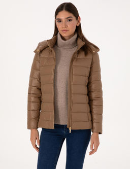 Camel Mont