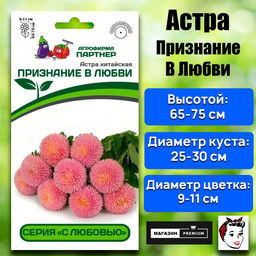 3281P Астра китайская ПРИЗНАНИЕ В ЛЮБВИ 5шт