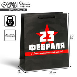 Пакет подарочный ламинированный, упаковка, «С 23 февраля», M 26×30×9 см