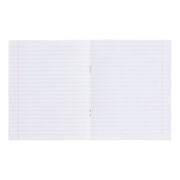 Комплект тетрадей из 10 штук, 24 листа в линию КПК «Зелёная обложка», блок офсет, 58-62 г/м², белизна 90%