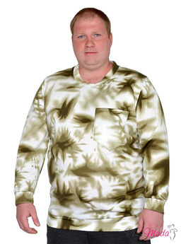 Толстовка Модель №1560 размеры 44-84