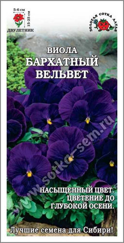 Виола Бархатный вельвет фиолетовая 0,05г (Золотая сотка Алтая)