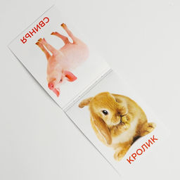 Развивающая игра на липучках «Изучаем мир домашних животных», методика Домана, с обучающими карточками по методике Глена Домана