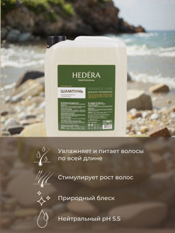 Hedera Professional Шампунь для волос для ежедневного применения / Service Line, 5000 мл