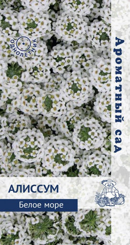 Алиссум Белое море 0,3г (Поиск)