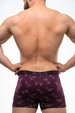 Мужские трусы-боксеры Kenn Paul  фото 4