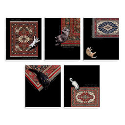 Тетрадь, 48 л, клетка, арт. 74232/ 5 КОТЫ И КОВРЫ /А5+, мягкий переплёт (2 скобы), мелованный картон