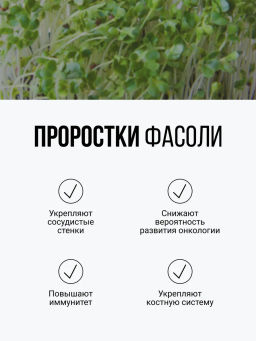 Смесь из ПЯТИ видов проростков БЕЗ ГЛЮТЕНА 150г (зеленая гречка, чечевица, нут, кукуруза, фасоль) (5