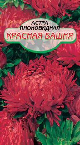 Красная башня астра 60-65см 0,2гр.(ссс)