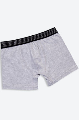 Трусы для мальчика Happy Fox