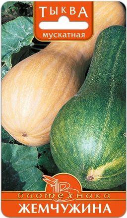 Тыква Жемчужина
