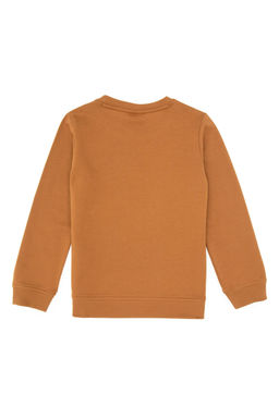 Erkek _ocuk Camel Basic Bisiklet Yaka Sweatshirt Sepette S_rpriz _ndirim - U.s. polo assn фото 2