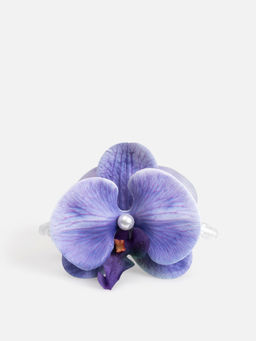 ACOOLA / Заколка для волос детская Meluvia разноцветный