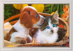 Картина 5D 40х60 222 / ZR8845B-H39H23 /