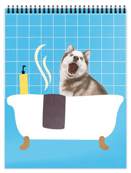 Цена за 5 шт. Блокнот А6 80 л. клетка Schoolformat ПОРТРЕТЫ ПИТОМЦЕВ на гребне, мелованный картон, сплош...