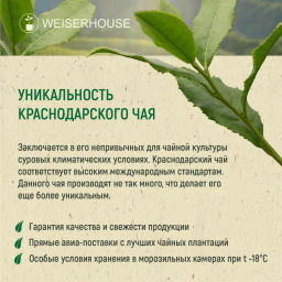 Живой чай / Краснодарский желтый (живой чай), 1 уп. * 100 гр. - Weiserhouse фото 6