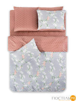 КПБ CASSIA КЕМЕР  фото 4