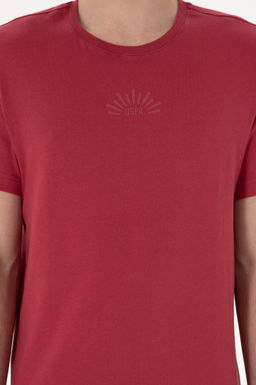 Erkek Regular Fit Bisiklet Yaka Vi_ne Ti__rt Sepette S_rpriz _ndirim - U.s. polo assn фото 6
