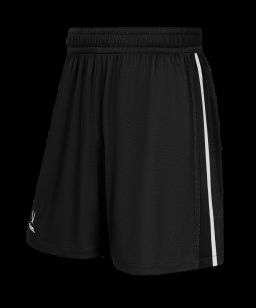 Шорты двухсторонние JOGEL DIVISION PerFormDRY Double-side Shorts, темно-серый/белый