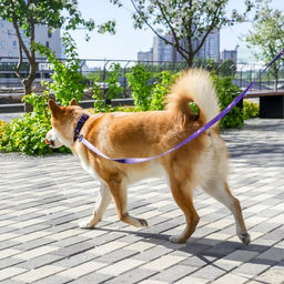 Поводок COSMO DOG, 2 см 1,5 м - Пушистое счастье фото 11