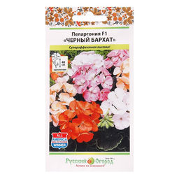 Семена цветов Пеларгония "Черный бархат", смесь 5 шт