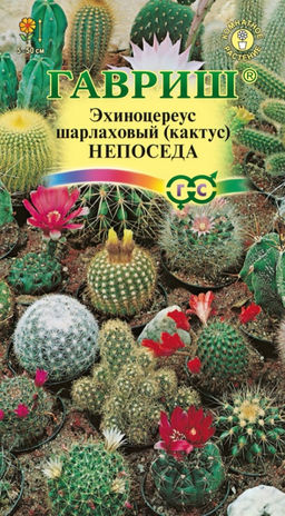 Кактус Непоседа Эхиноцереус 0,05г (смесь) (Гавриш)