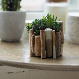 Blumentag DRW-02 Набор природных материалов дрифтвуд 200 г  5 г 01  фото 4