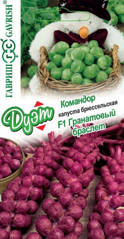 Капуста брюссельская Гранатовый браслет F1 0,1г + Командор 0,1г (Гавриш)