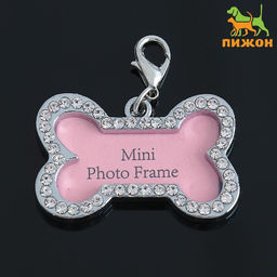 Адресник под записку Косточка большой, 4,3 х 2,8 см