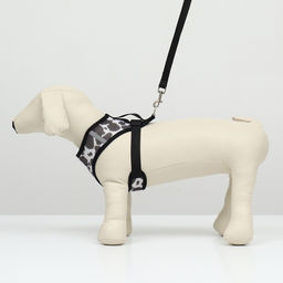 Комплект для собак 12-15 кг, размер XL, поводок 120 х 1,5 см ОШ 38 см, ОГ 57 см - Пижон фото 2