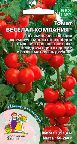 Томат ВЕСЁЛАЯ КОМПАНИЯ Формирует множество плодов на величественных кистях! Плоды один к одному и созревают очень дружно!