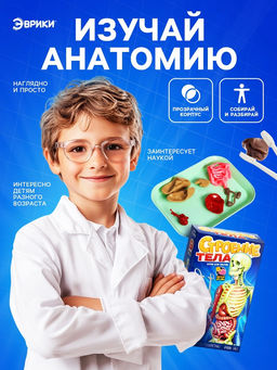 Набор для опытов по анатомии Строение тела, светится в темноте, с мягкими органами - Эврики фото 5