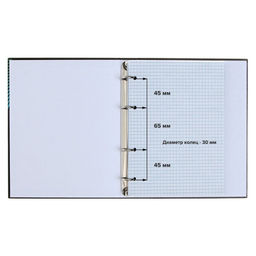 Тетрадь на кольцах Calligrata A5, 80 листов, в клетку, пластиковая обложка, блок офсет, синяя