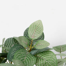 Искусственный цветок в горшке Фиттония, 18?17 см