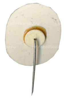 Значок Gizvcko