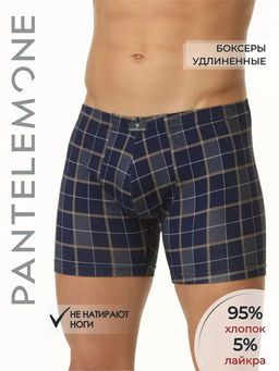 Удлиненные трусы-шорты