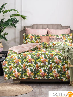 КПБ CASSIA БЕЛЕН