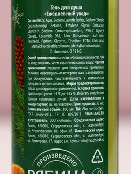 Цена за 2 шт. Гель для душа С Новым Годом!, 100 мл, аромат апельсинового пирога, Чистое счастье  фото 6