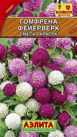 Гомфрена шаровидная Фейерверк, смесь сортов