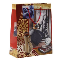 Цена за 12 шт. Пакет подарочный 26х32х10 / 115-32 /уп 12/720/ микс 23 февраля - Галеонтрейд фото 4