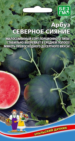 Арбуз СЕВЕРНОЕ СИЯНИЕ  Малосемянный сорт порционного типа! Стабильно вызревает в средней полосе! Мякоть превосходного, десертного вкуса!