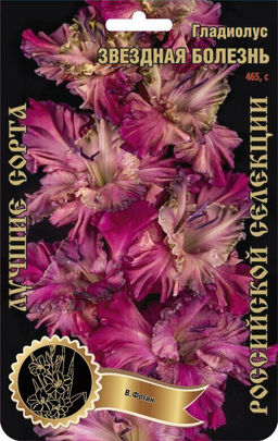 Гладиолус Звездная Болезнь 465,Фотин 1 р-р 7шт (Ф)