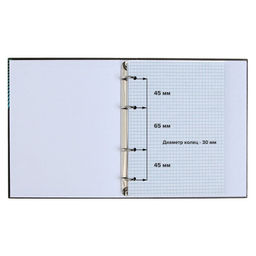 Тетрадь на кольцах A5, 120 листов в клетку, Calligrata «Авокадо»