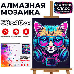 Мозаика алмазная "Кот в наушниках" 40*50см.