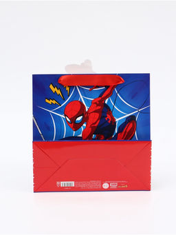 Цена за 2 шт. Пакет подарочный «Супергерой», 22 × 22 × 10 см
